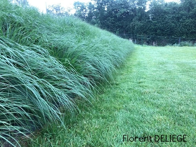 Aménagement de jardin avec pelouse et plantations par Nature & Structure