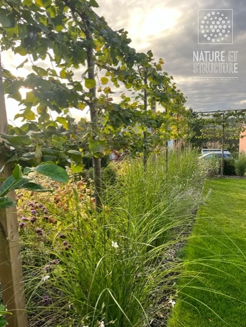 Aménagement paysager avec parterres et arbres palissés